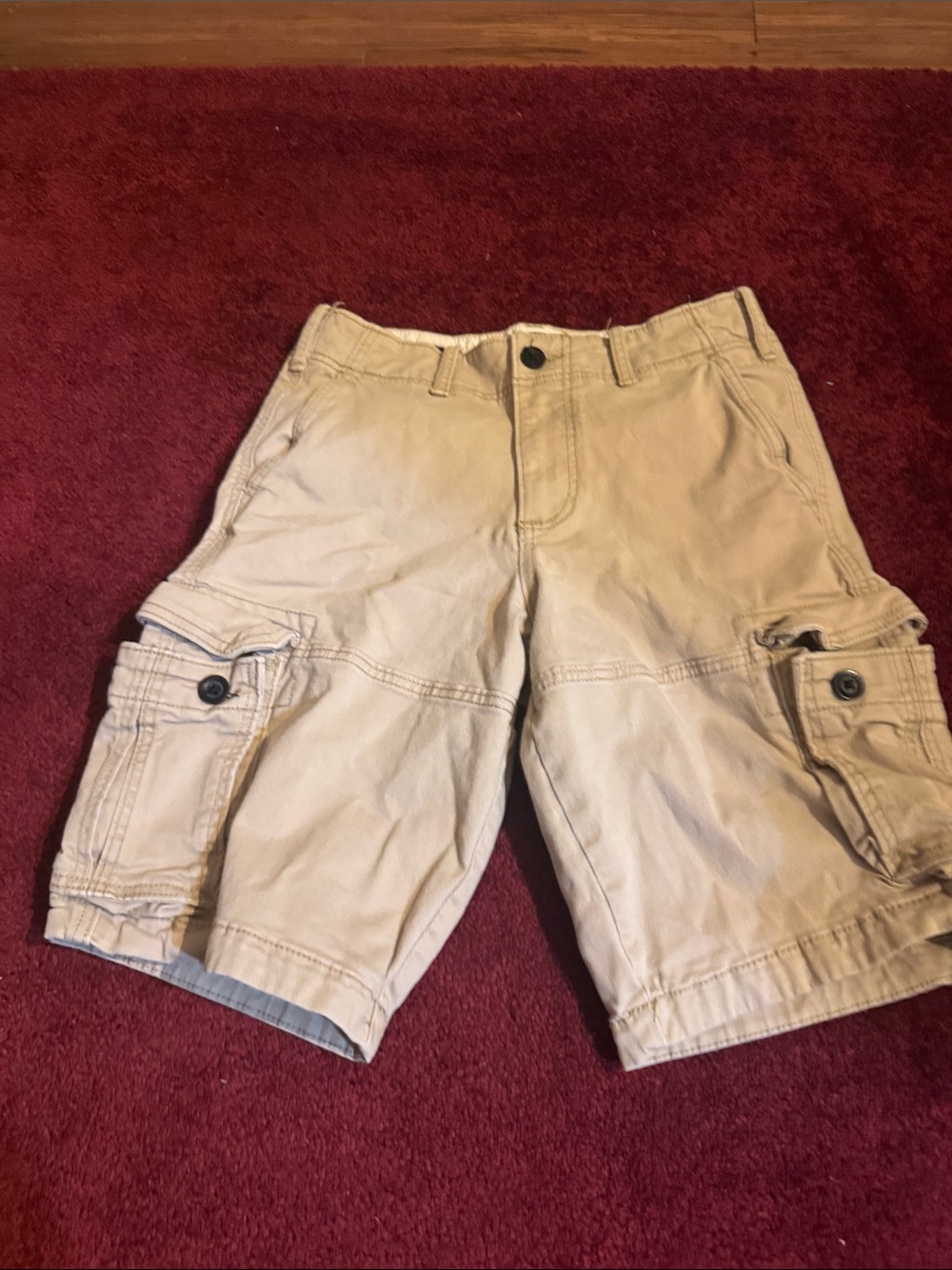 Hollister Men's Tan Cargo Shorts